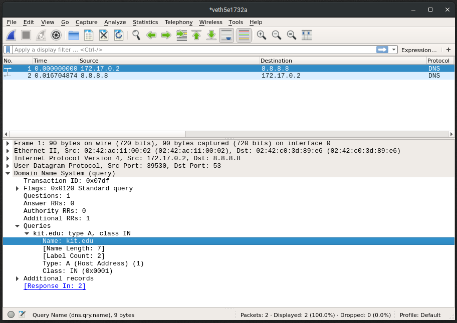 Example of a non-encrypted DNS request
