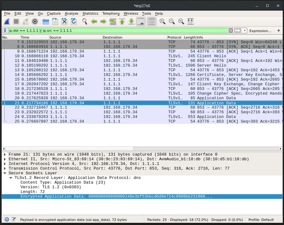 Example of an encrypted DNS request